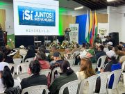 Tutela por falta de recursos para consulta popular del Área Metropolitana en Valle de San Nicolás
