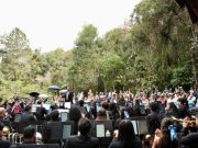 Un concierto en lo profundo del bosque del parque Arví