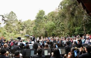 Un concierto en lo profundo del bosque del parque Arví