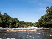 Precandidatos del Centro Democrático expusieron sus retos con la Amazonia