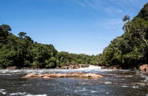 Precandidatos del Centro Democrático expusieron sus retos con la Amazonia