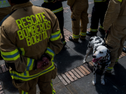 Cuatro directivos de Bomberos de Bogotá investigados por contratos