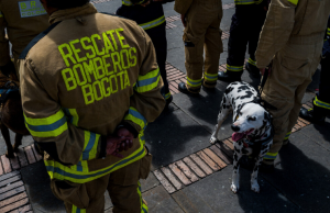 Cuatro directivos de Bomberos de Bogotá investigados por contratos