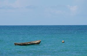 Japón y Colombia se unirán para recuperar corales en San Andrés