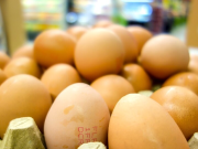 El huevo es el alimento preferido por los colombianos, según Fenavi