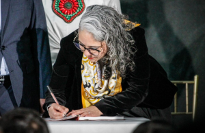 CNE confirmó personería jurídica de movimiento Progresistas