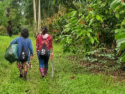 Aseguran aval fiscal para proyecto de fibra óptica en la Amazonía