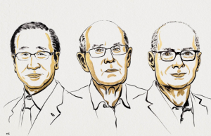 Kitagawa, Yaghi y Robson ganan el Nobel de Química 2025