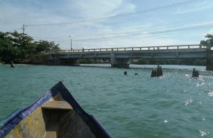 ANI socializa diseños del nuevo puente La Caimanera en Coveñas