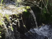 Ambientalistas exigirán protección del agua el 8 de octubre en Bogotá