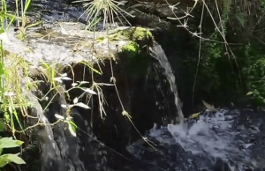 Ambientalistas exigirán protección del agua el 8 de octubre en Bogotá