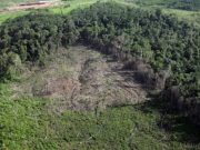 Invertirán 1 millón de euros en Leticia