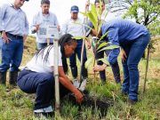 Proyecto deja ya 2.000.000 de árboles sembrados