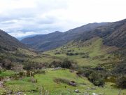 La advertencia que llega desde las montañas: estudio revela crisis acelerada en uno los ecosistemas más vulnerables del planeta