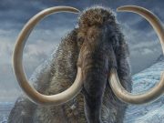 El ARN más antiguo del mundo, extraído de un mamut lanudo de 40.000 años