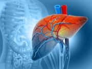 Cinco señales clave del cáncer de hígado y los factores que elevan su riesgo
