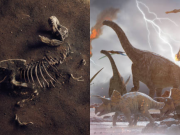 Huevos fosilizados de dinosaurio revelan una nueva forma de medir el tiempo en el registro fósil