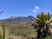 Parque Nacional Natural Los Nevados cerrará temporalmente para permitir la regeneración de sus ecosistemas frágiles