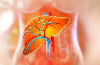 Hígado graso: las estrategias naturales en casa para reducirlo y cuidar su salud