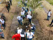 ¿Cómo lograr que el Valle del Cauca tenga un millón de árboles más? Ponga el terreno y la CVC le entrega los gigantes: este es el proceso