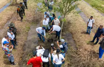 ¿Cómo lograr que el Valle del Cauca tenga un millón de árboles más? Ponga el terreno y la CVC le entrega los gigantes: este es el proceso