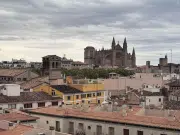 Entre raquetas, olivos y mar: la Mallorca más auténtica vibra entre el sonido del tenis y el silencio de sus cuevas milenarias