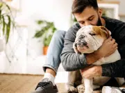 Estudio en perros sugiere que el uso continuo de CBD reduce la agresividad en animales mayores y con afecciones