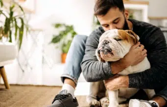 Estudio en perros sugiere que el uso continuo de CBD reduce la agresividad en animales mayores y con afecciones