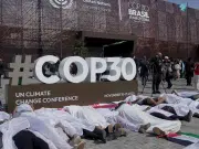 Los desafíos de la COP 30, la primera que se realiza en el pulmón del mundo