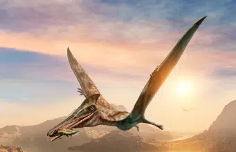 Por vómito fosilizado, científicos descubren dinosaurio hasta ahora desconocido: ¿cómo era?