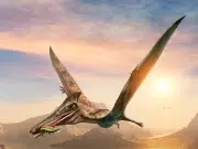 Pterosaurios pudieron volar desde su origen con cerebros pequeños, según un estudio que replantea la evolución del vuelo