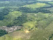 Devastadoras imágenes: EL TIEMPO sobrevoló la Amazonia y lo que antes era selva ahora son potreros sin un solo árbol