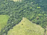 Gobierno se pronuncia ante imágenes de deforestación en el Guaviare publicadas por EL TIEMPO: ‘Hemos fortalecido acciones de protección del bosque’