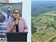 ‘Toda la inversión que se tiene que hacer para deforestar muestra que allí hay un poder económico importante’