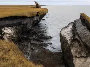 Vida que despierta bajo cero: microbios de 40.000 años emergen del permafrost de Alaska por el cambio climático