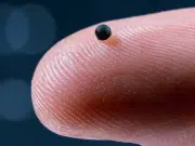 Crean un robot microscópico que ayuda a eliminar coágulos peligrosos en las venas