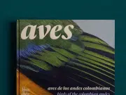 Seis libros para redescubrir la Colombia de la mano de Villegas Editores: arte, naturaleza y un clásico que regresa