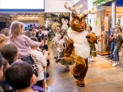 ¡La nueva aventura del Show de Rudolf es en Medellín!