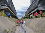Desmontan 20 cambuches y retiran dos toneladas de basura en Canal Comuneros