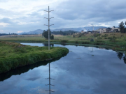 Frenan vertimientos ilegales de matadero que contaminaban el río Bogotá