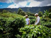 ¿Cuáles son los principales delitos en el Agro Colombiano?
