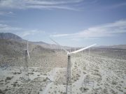 Tecnología para monitorear y reportar la deforestación en Colombia