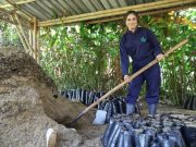 El SENA ofrece 470 cupos de formación para el Oriente antioqueño