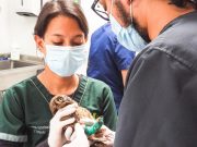 “Soy antipólvora”, para prevenir accidentes y proteger la fauna silvestre