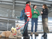 Firman convenio para promover el bienestar animal en TransMilenio
