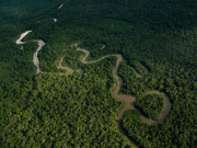 Colombia declara la Amazonía como zona libre de gran minería