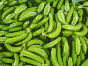 Presentan 43 propuestas para fortalecer el agro en 2026
