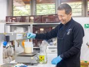UdeA y Sumicol logran importante patente: ¿De qué se trata?