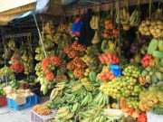 Seguridad alimentaria del país tuvo como soporte a ocho productos esenciales