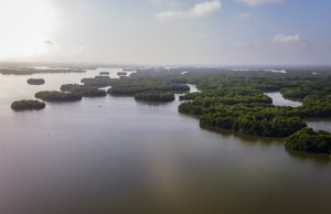 Pescadores, aliados en recuperación de la Ciénaga Grande de Santa Marta